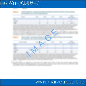 市場と産業調査レポートのイメージ